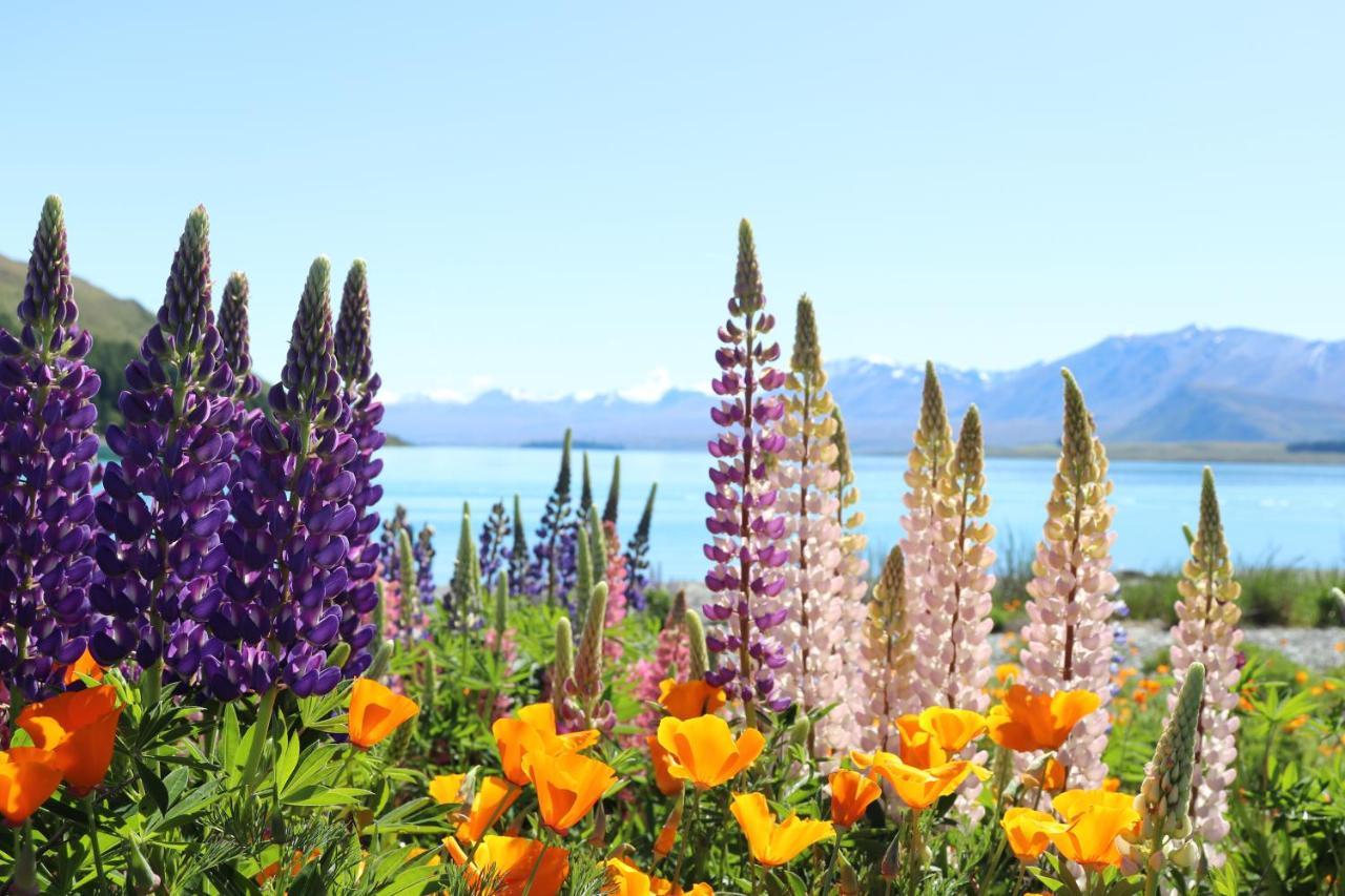 Mt Sefton Villa Lake Tekapo Ngoại thất bức ảnh